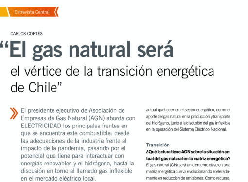 Carlos Cortés: “El gas natural será el vértice de la transición energética de Chile”