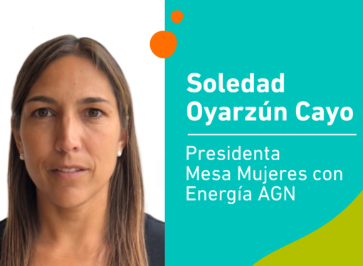 Un año de avances en la industria del gas natural