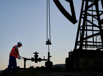 La sostenibilidad como camino compartido